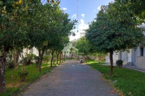 Egaleo Neighbourhood
